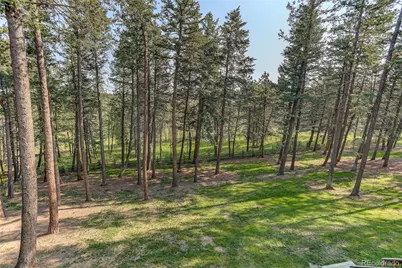 26161 Clear View Drive, Golden, CO 80401 - Photo 39