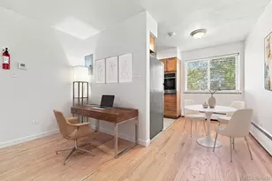 1056 N Marion Street, Denver, CO 80218 - Photo 3