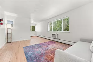 1056 N Marion Street, Denver, CO 80218 - Photo 9