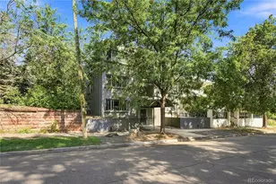 1056 N Marion Street, Denver, CO 80218 - Photo 31