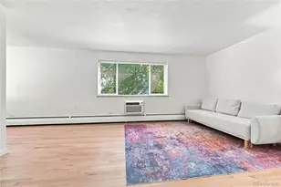 1056 N Marion Street, Denver, CO 80218 - Photo 5