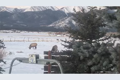 12593 Ce Ce Lane, Nathrop, CO 81236 - Photo 9