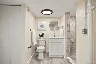 746 Ivanhoe St, Denver, CO 80220 - Photo 23