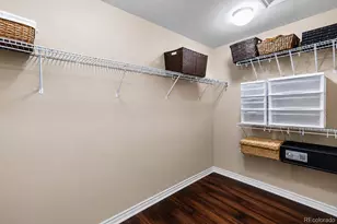 9254 Viaggio Way, Highlands Ranch, CO 80126 - Photo 41