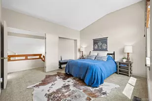 9031 Bear Mountain Dr, Highlands Ranch, CO 80126 - Photo 23