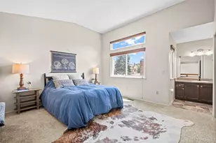 9031 Bear Mountain Dr, Highlands Ranch, CO 80126 - Photo 21