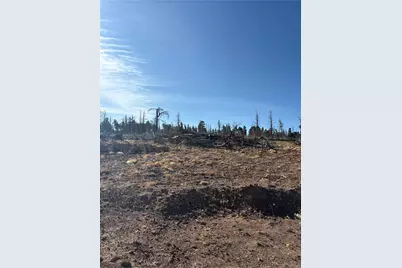 000 Riccardo Lane, Fort Garland, CO 81133 - Photo 13