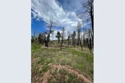 986 Levy Place, Fort Garland, CO 81133 - Photo 9