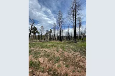 986 Levy Place, Fort Garland, CO 81133 - Photo 5