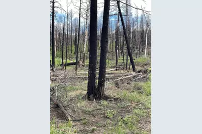 986 Levy Place, Fort Garland, CO 81133 - Photo 13