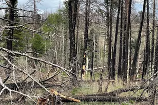 986 Levy Pl, Fort Garland, CO 81133 - Photo 1