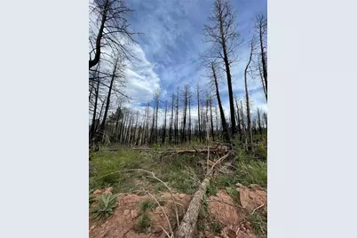 986 Levy Place, Fort Garland, CO 81133 - Photo 3