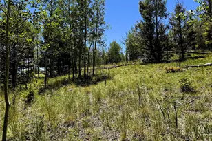 144 Kaufman Ct, Hartsel, CO 80449 - Photo 1