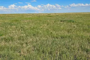 37855 Shear Rd, Yoder, CO 80864 - Photo 1