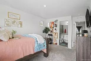 18262 E 49th Pl, Denver, CO 80249 - Photo 21