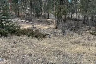 12887 S Cindy Ave, Pine, CO 80470 - Photo 1