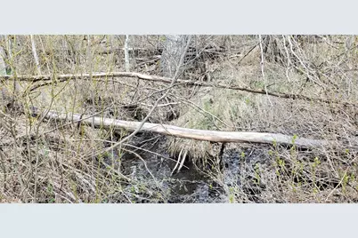 5660 Kawasaki Road, San Luis, CO 81152 - Photo 5