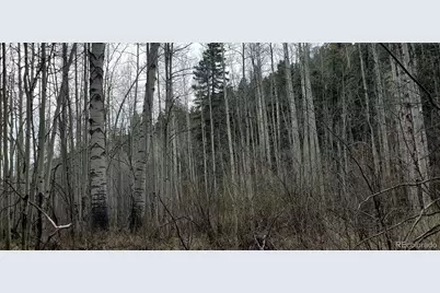 5660 Kawasaki Road, San Luis, CO 81152 - Photo 7