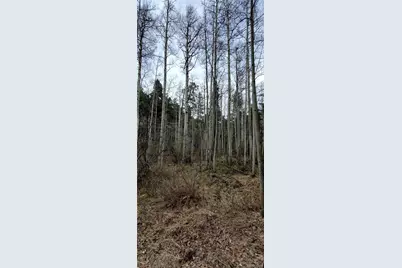 5660 Kawasaki Road, San Luis, CO 81152 - Photo 11