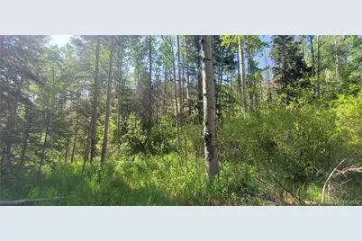 5660 Kawasaki Road, San Luis, CO 81152 - Photo 3