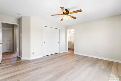 158 Ellendale Street, Castle Rock, CO 80104 - Photo 19