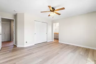 158 Ellendale St, Castle Rock, CO 80104 - Photo 19