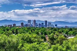 4507 E 7th Ave, Denver, CO 80220 - Photo 41