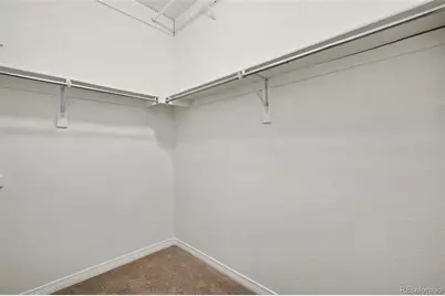 8777 Ginkgo Loop, Parker, CO 80134 - Photo 21