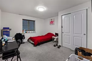 2350 Tyrrhenian Cir, Longmont, CO 80504 - Photo 29