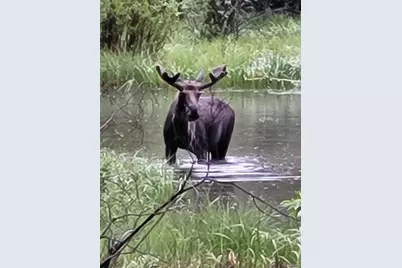 404 Quartz Drive, Leadville, CO 80461 - Photo 47