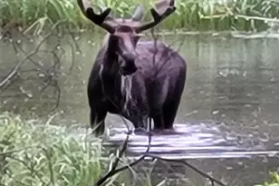 404 Quartz Dr, Leadville, CO 80461 - Photo 47