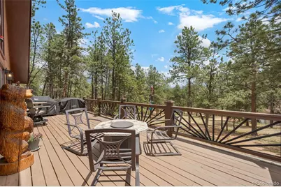 153 Arrowrock Circle, Florissant, CO 80816 - Photo 5