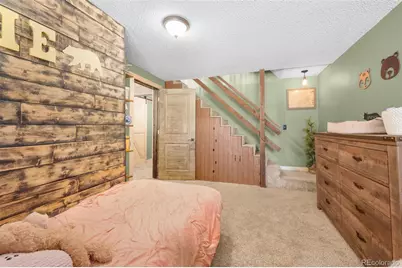 153 Arrowrock Circle, Florissant, CO 80816 - Photo 23