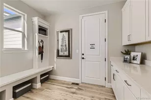 1720 Fox Trotter Pt, Castle Rock, CO 80104 - Photo 23