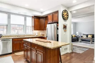 9135 E 29th Pl, Denver, CO 80238 - Photo 13