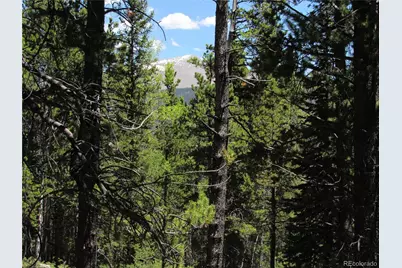 380 Georges Way, Alma, CO 80420 - Photo 27