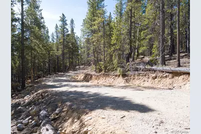 380 Georges Way, Alma, CO 80420 - Photo 19