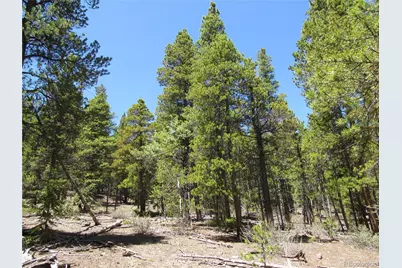 380 Georges Way, Alma, CO 80420 - Photo 5
