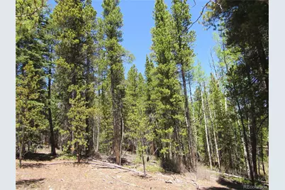 380 Georges Way, Alma, CO 80420 - Photo 25