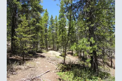 380 Georges Way, Alma, CO 80420 - Photo 21