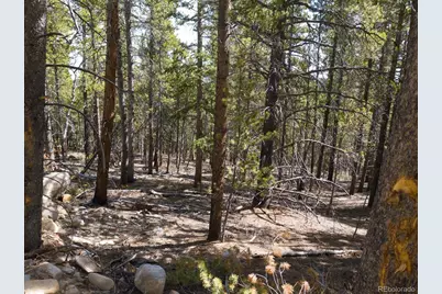 380 Georges Way, Alma, CO 80420 - Photo 15