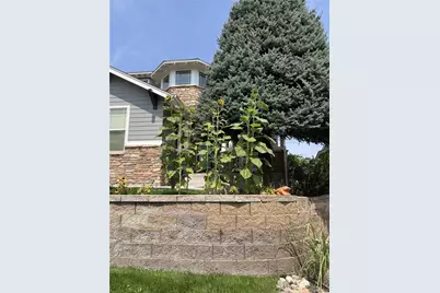 8537 Winter Berry Drive, Castle Pines, CO 80108 - Photo 43