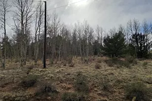 1411 Travois Rd, Como, CO 80432 - Photo 1