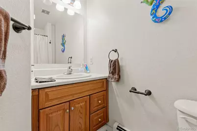 211 Appleby Street, Bailey, CO 80421 - Photo 41