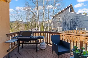 211 Appleby St, Bailey, CO 80421 - Photo 19