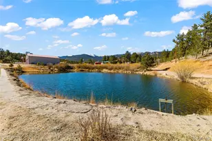 211 Appleby St, Bailey, CO 80421 - Photo 49