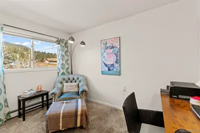 211 Appleby Street, Bailey, CO 80421 - Photo 17