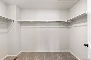 8785 Whiteclover St, Littleton, CO 80125 - Photo 25