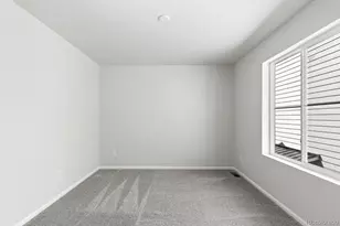 8785 Whiteclover St, Littleton, CO 80125 - Photo 29