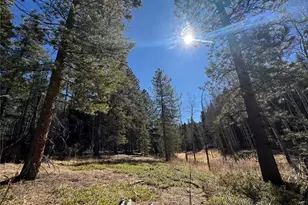 Lot 14X Wallace Ave, Conifer, CO 80433 - Photo 1